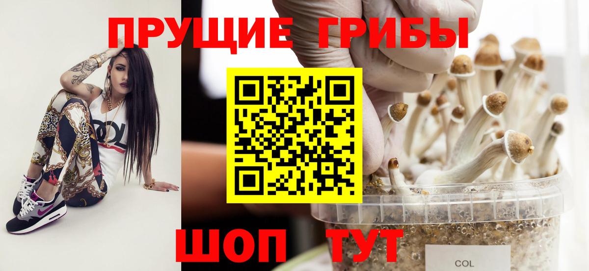 Пыть-Ях  Псилоцибиновые грибы ЛСД  купить наркотики цена  Вход с VPN 